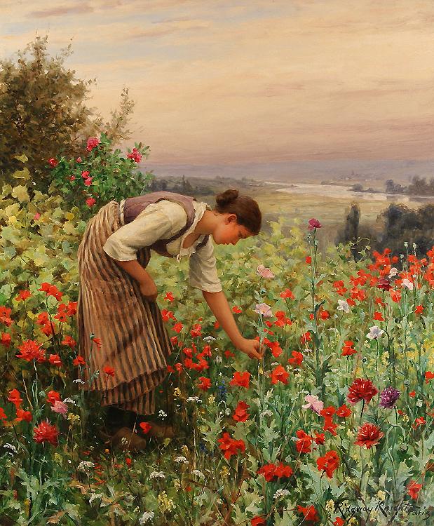 Daniel Ridgeway Knight Girl Picking Poppies oil painting image